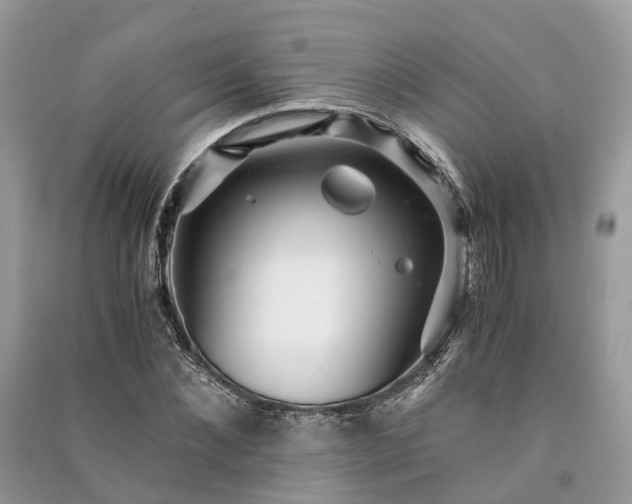 X0000090990876200708091517