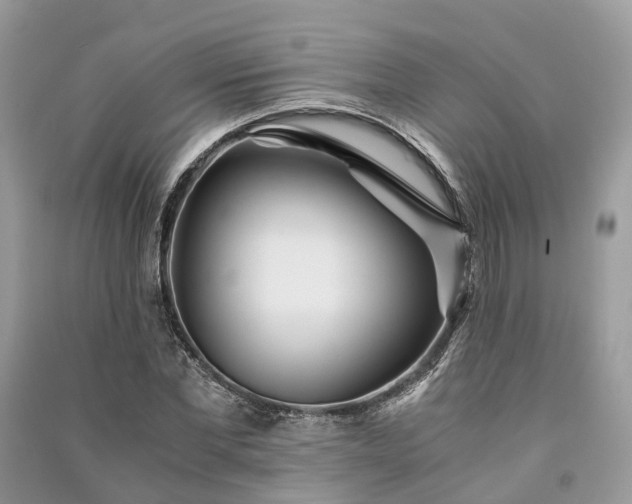 X0000090990877200708091517