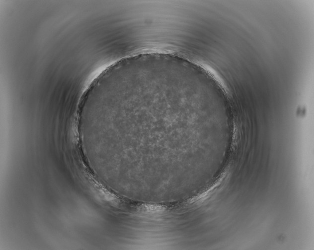 X0000090990878200708091516