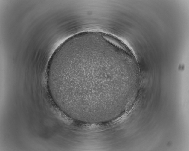 X0000090990879200708091516