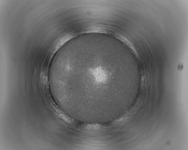 X0000090990882200708091516