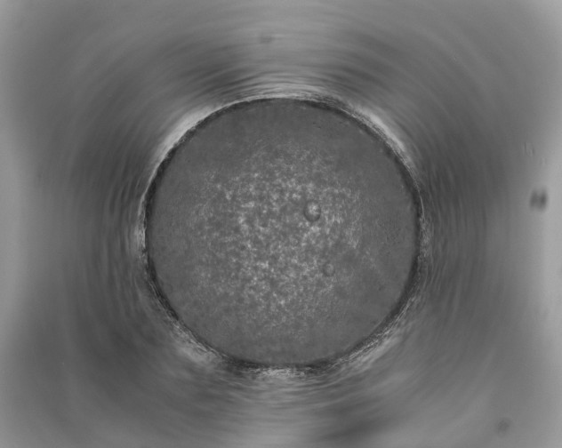 X0000090990883200708091516