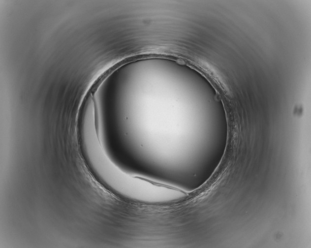 X0000090990884200708091516