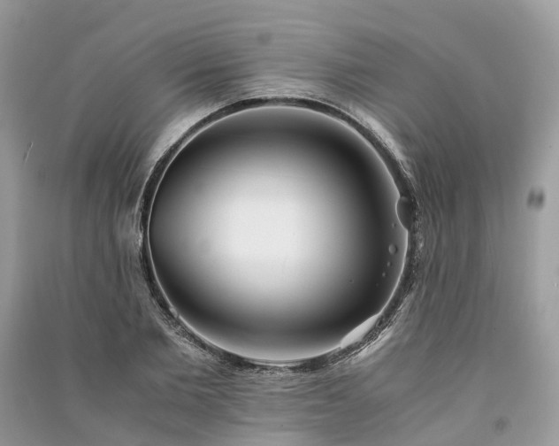 X0000090990885200708091516