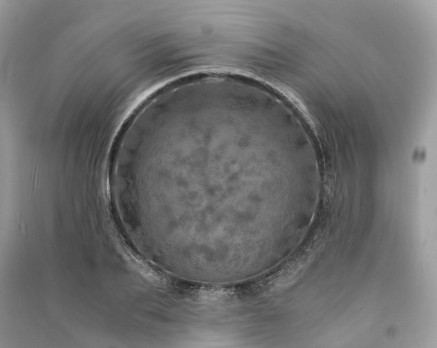 X0000090990887200708091516