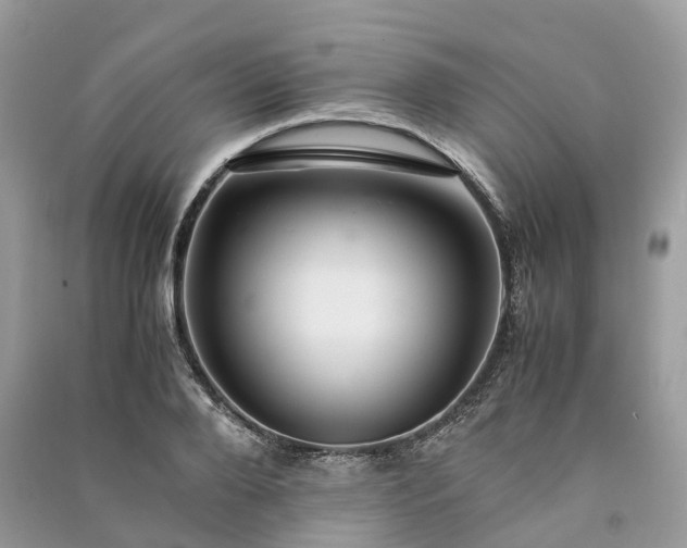 X0000090990888200708091516