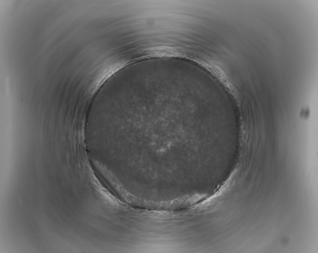 X0000090990889200708091516