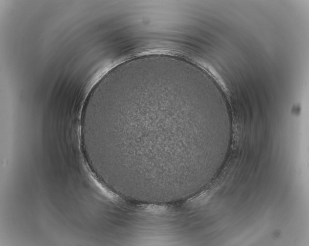 X0000090990890200708091516