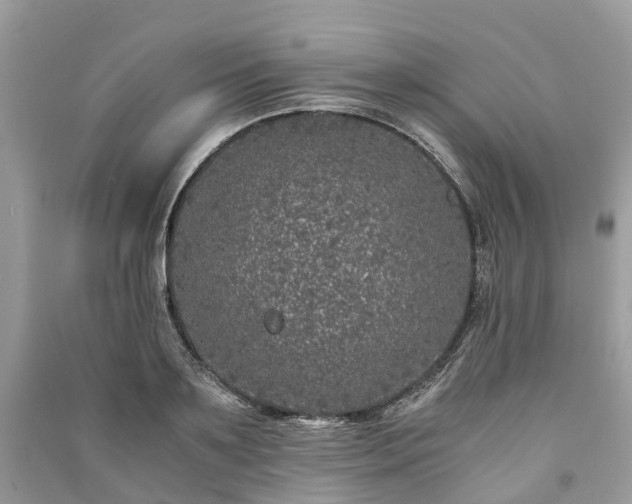 X0000090990891200708091516