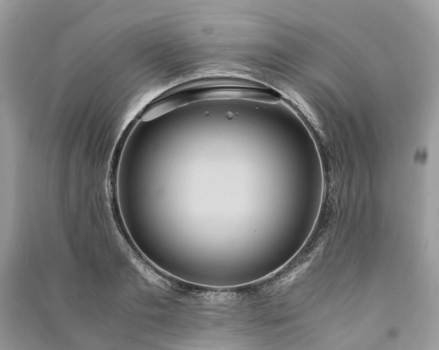 X0000090990893200708091516