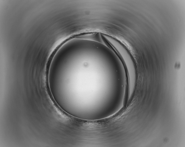 X0000090990894200708091516