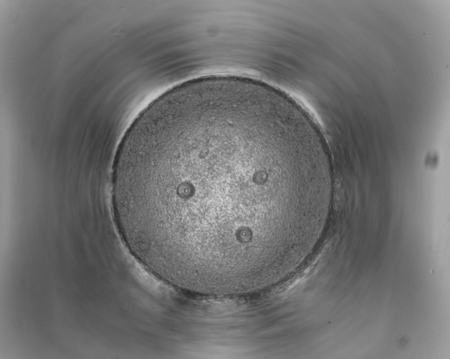 X0000090990895200708091516