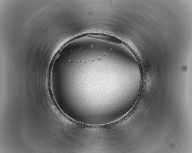 X0000090990896200708091516