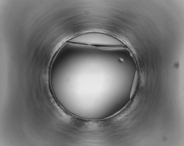 X0000090990898200708091516