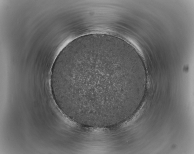 X0000090990899200708091516