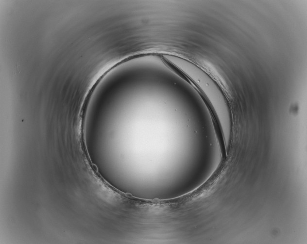 X0000090990900200708091516