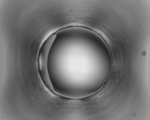 X0000090990902200708091516