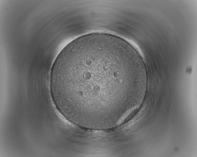 X0000090990903200708091516