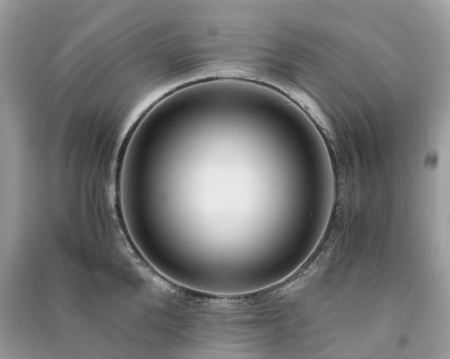 X0000090990904200708091516