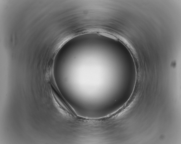 X0000090990905200708091516