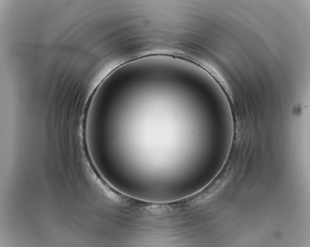 X0000090990906200708091516