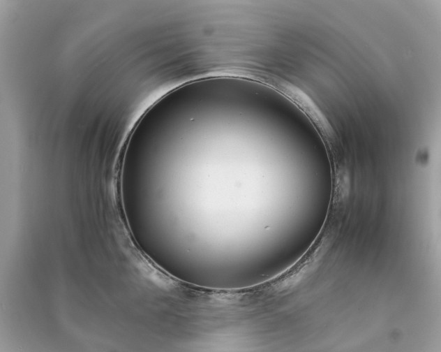 X0000090990908200708091516