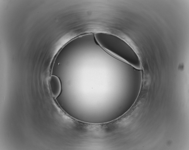 X0000090990909200708091516