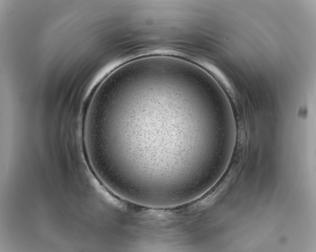 X0000090990910200708091516