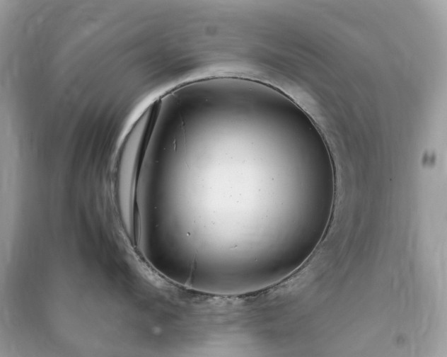 X0000090990912200708091516