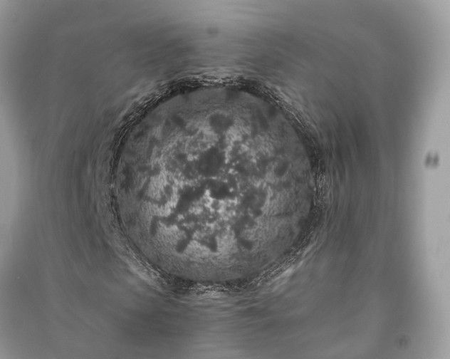 X0000090990913200708091515