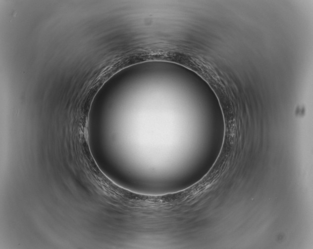 X0000090990916200708091516