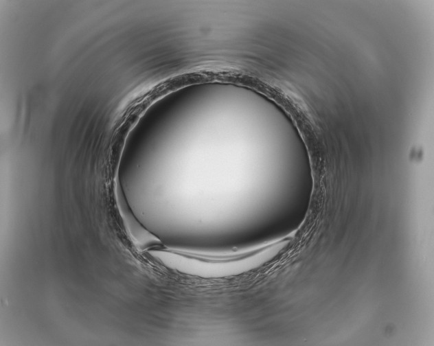 X0000090990920200708091516