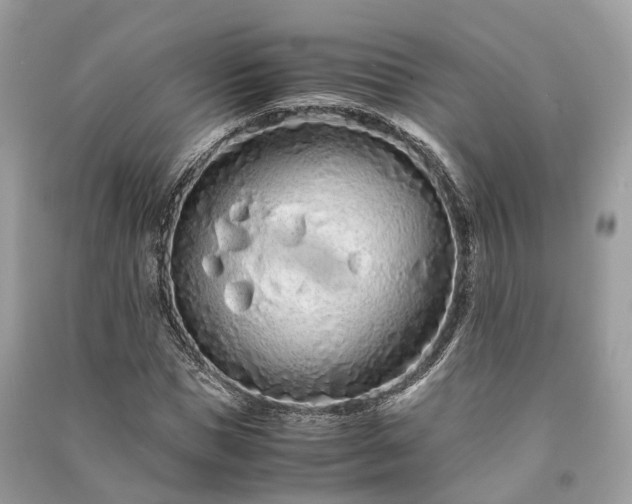 X0000090990921200708091516