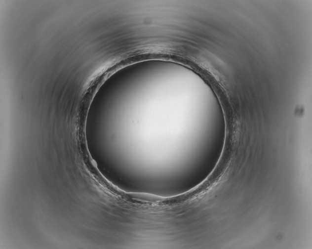 X0000090990922200708091516