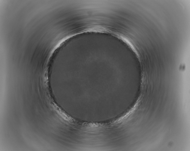 X0000090990923200708091516