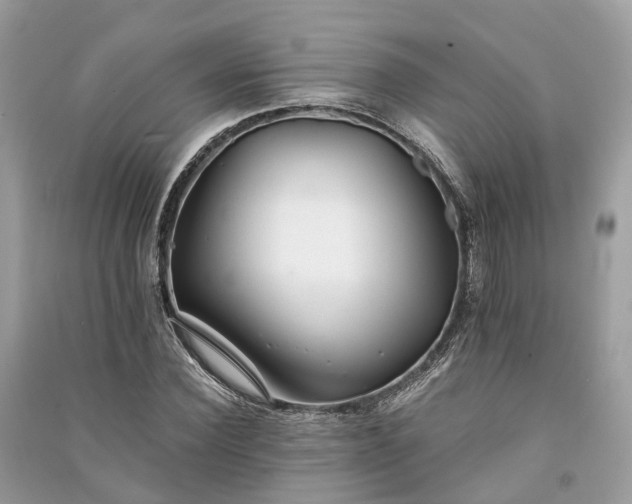 X0000090990924200708091516