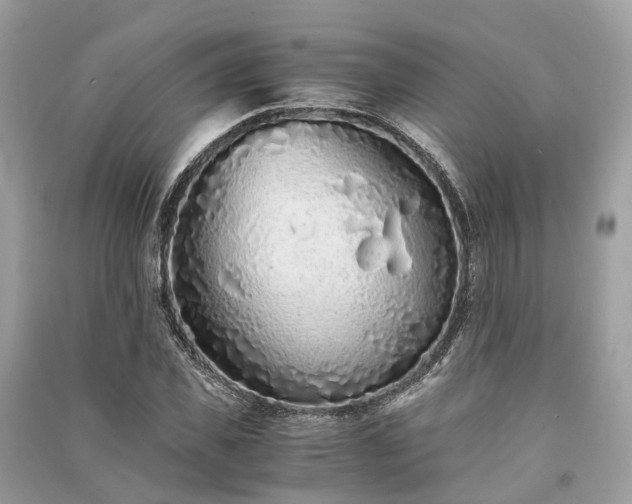 X0000090990925200708091516