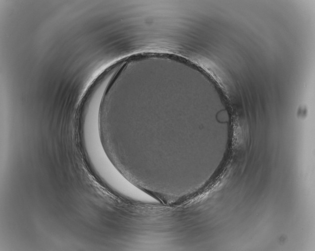 X0000090990926200708091516