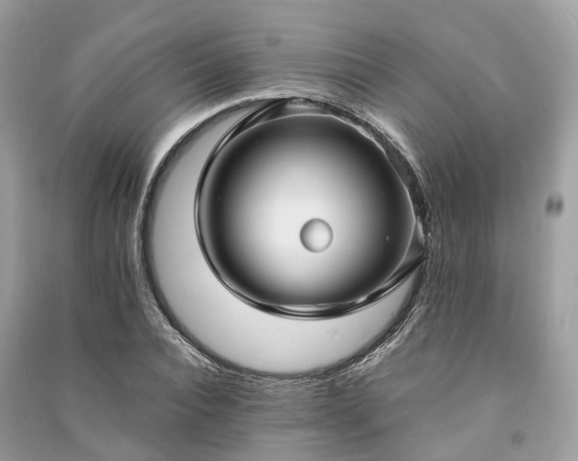 X0000090990928200708091516