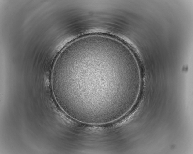 X0000090990929200708091516