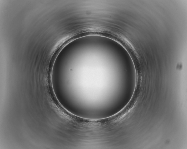 X0000090990930200708091516