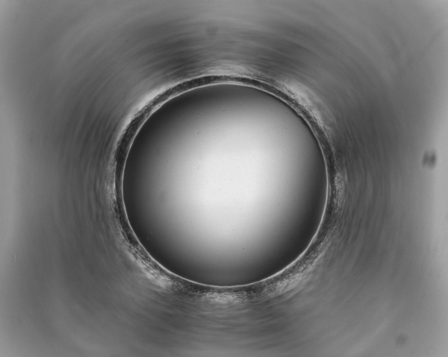 X0000090990931200708091516