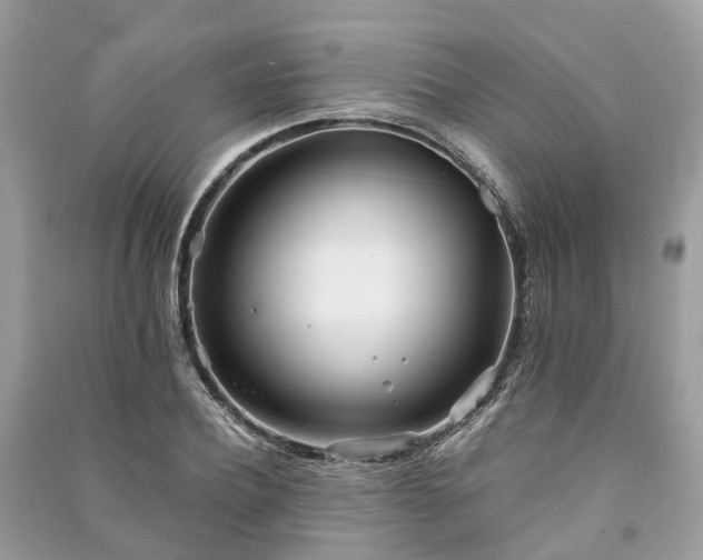 X0000090990932200708091516