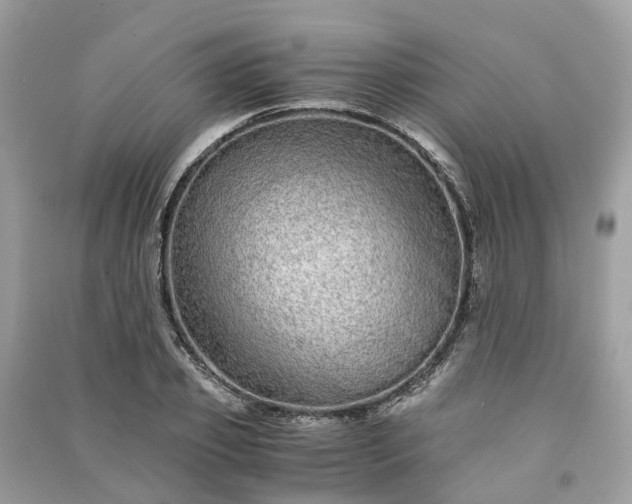 X0000090990933200708091516