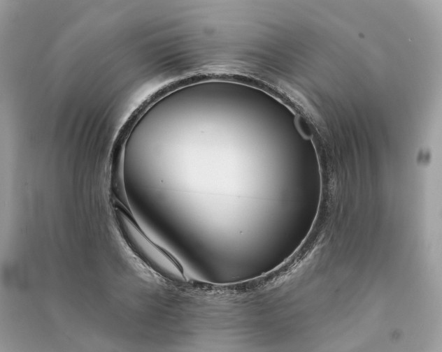 X0000090990934200708091516