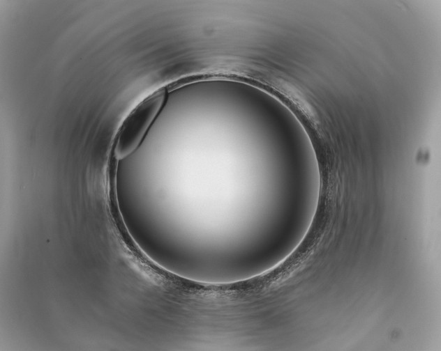 X0000090990936200708091516