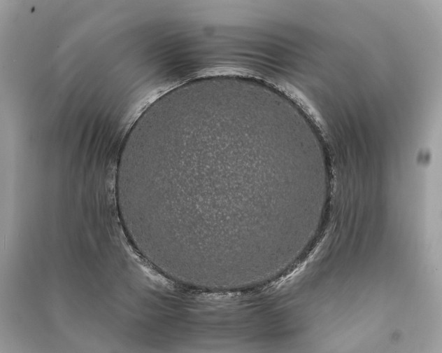 X0000090990937200708091516