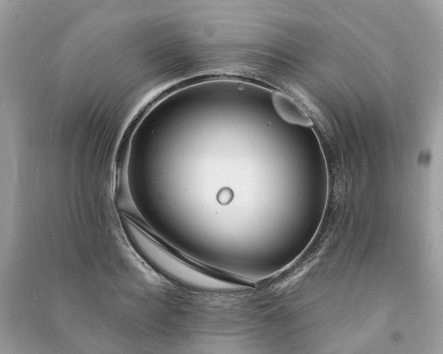 X0000090990940200708091516