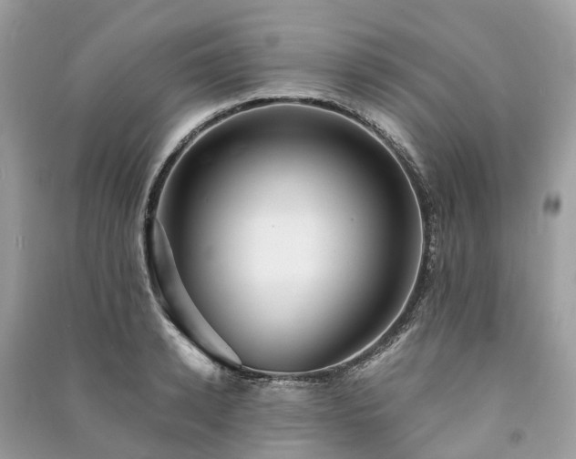 X0000090990942200708091516