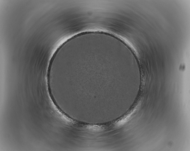 X0000090990943200708091516